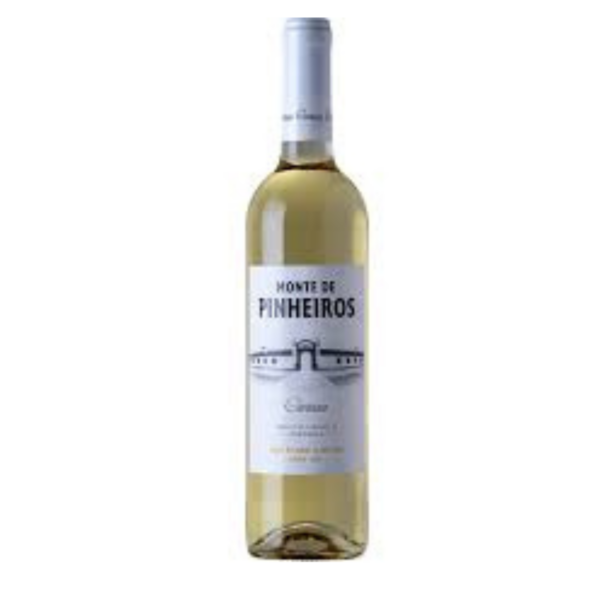 Loja da leila vinhos