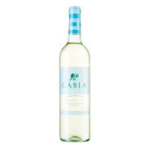 Loja da leila vinhos