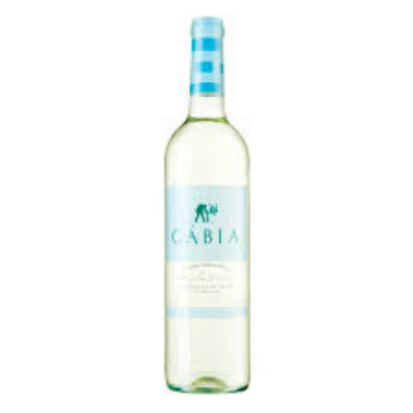 Loja da leila vinhos
